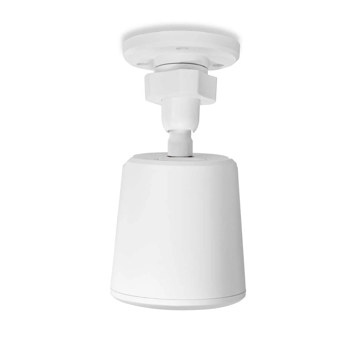 Miniatuur 6