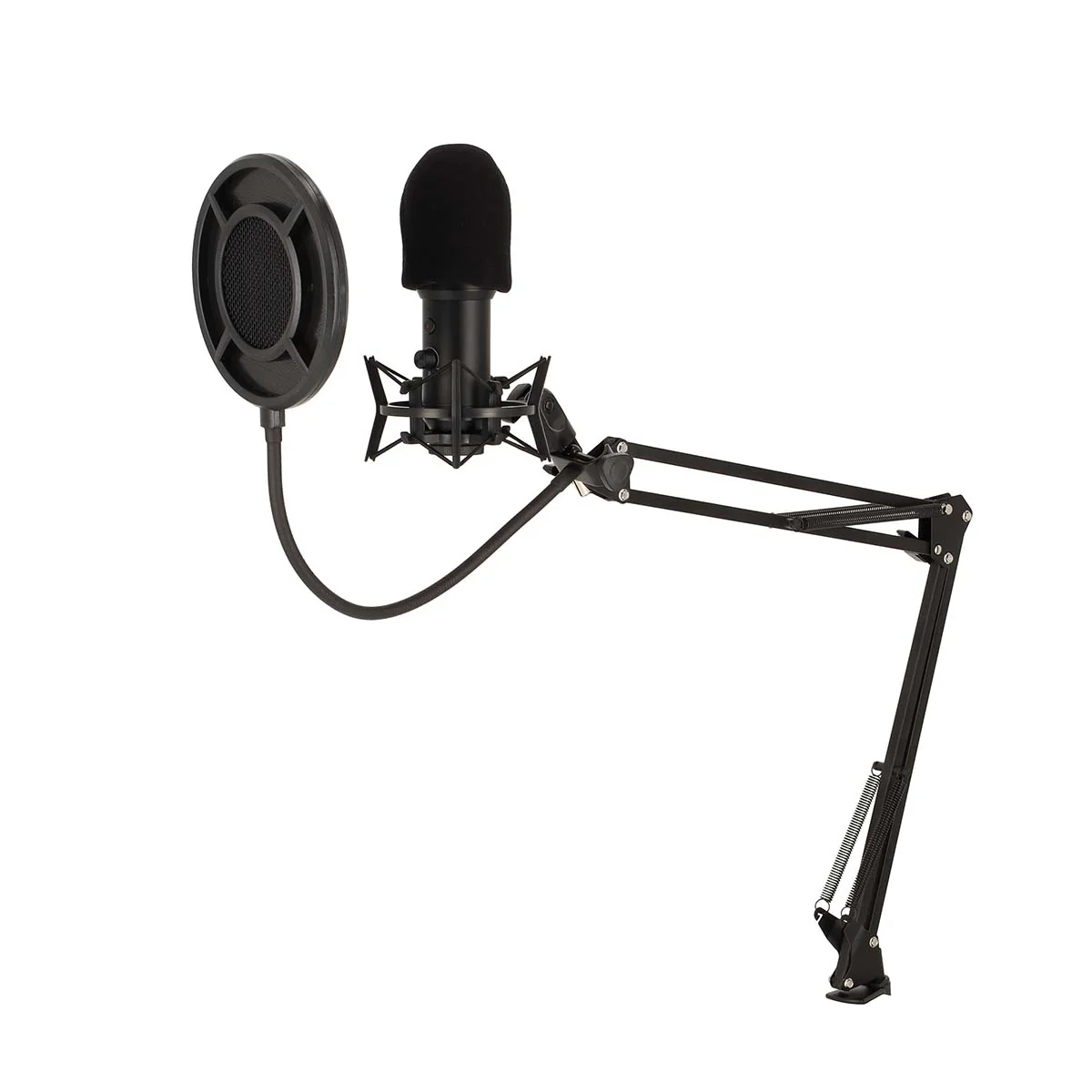 Miniatuur 2